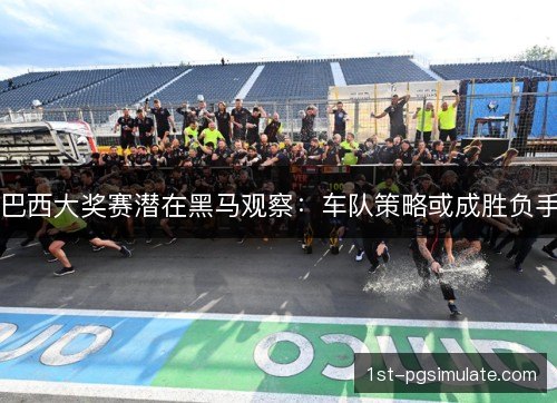 巴西大奖赛潜在黑马观察：车队策略或成胜负手